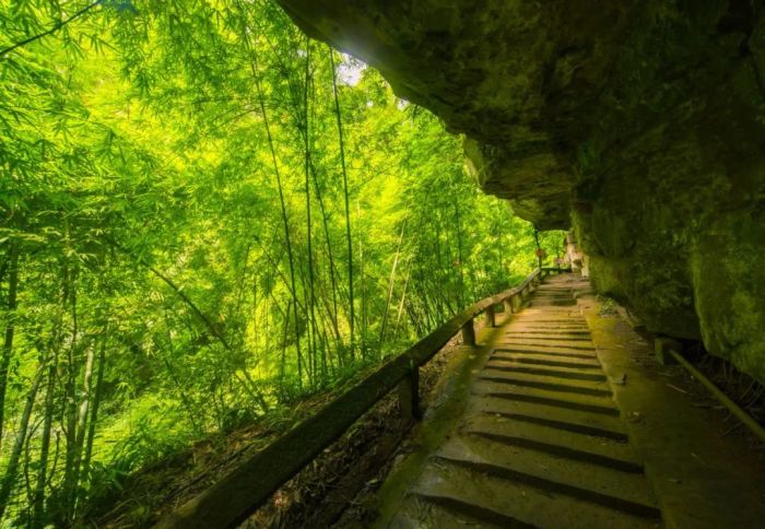 祝贺！邛崃市荣获国际山地徒步旅游大奖(图6)