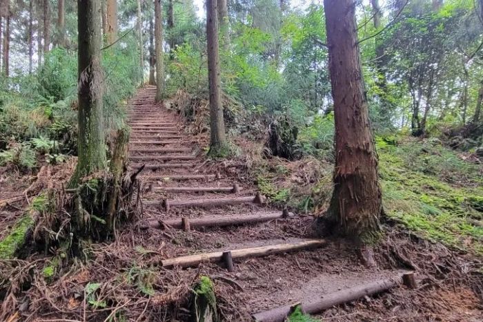 祝贺！邛崃市荣获国际山地徒步旅游大奖(图10)