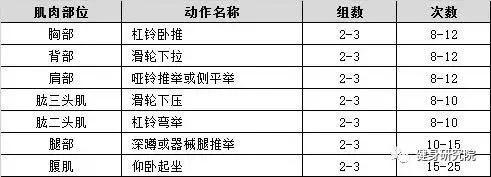 金沙乐娱场app下载给健身新手的初级增肌训练计划及建议