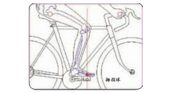 单车骑行：黄金三点调整法(图2)