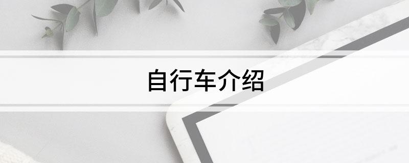 金沙乐娱场app下载自行车介绍(图1)