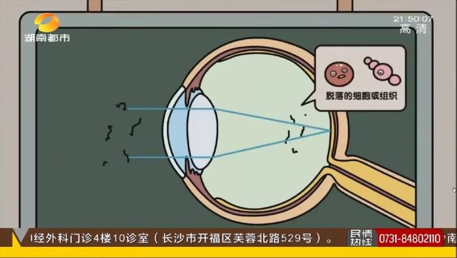 你的健身教练靠谱吗？健身行业内幕揭秘！7天培训or直接在网上买证就能成为健身教练(图3)