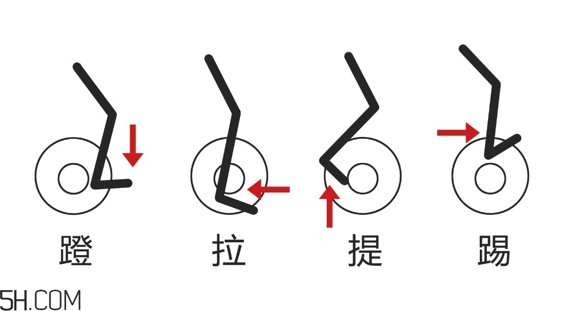 金沙乐娱场动感单车适合多大年纪？动感单车适合哪些人骑？(图1)