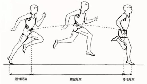 涨知识｜膝盖伤痛竟是它引起的？你有注意运动步幅吗(图1)